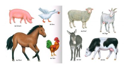 Pappbilderbuch mit Tieren