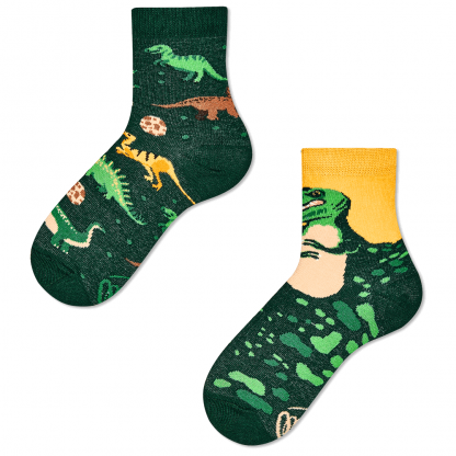 Many Mornings Socks Dinosaurier Kids